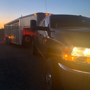 Meet your Posher, Clayton